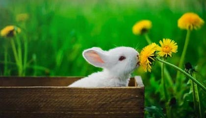 爱游戏app-亚冠联赛 中国女足复仇 热血时刻令人动容，中国女足亚洲杯夺冠